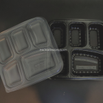 TFSQ 5C BENTO LUNCH BOX
