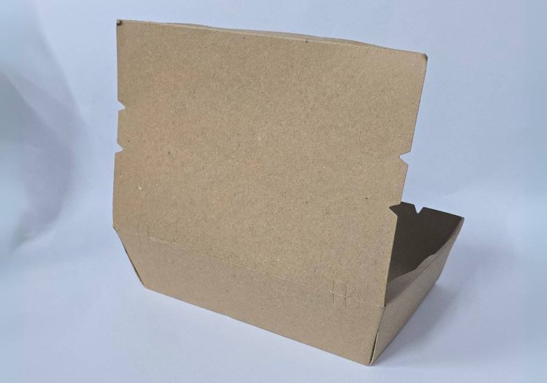 PAPER LUNCH BOX BROWN (L) TBH 900 180x120x55mm [Update Jan'25] - Image 2