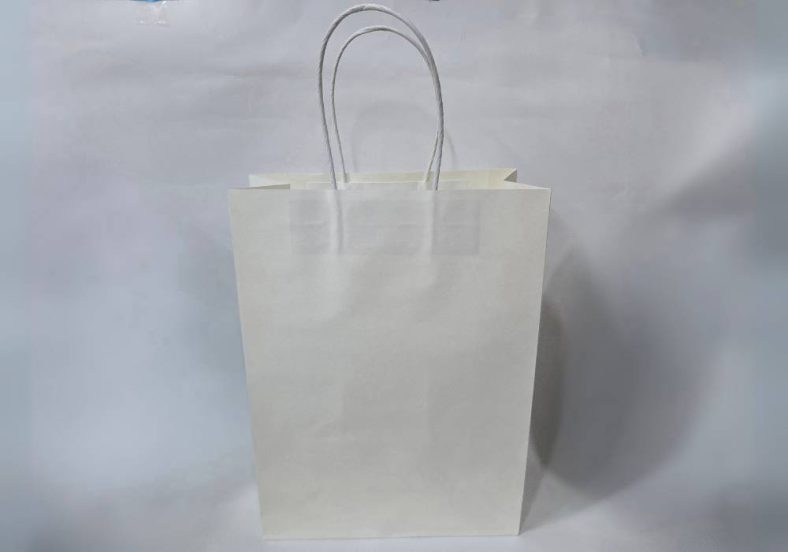 TWISTED WHITE M PAPER BAG (H300 x W220 x D100mm) - Image 3