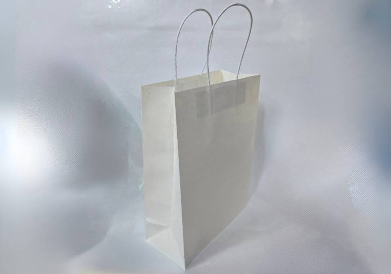 TWISTED WHITE M PAPER BAG (H300 x W220 x D100mm)