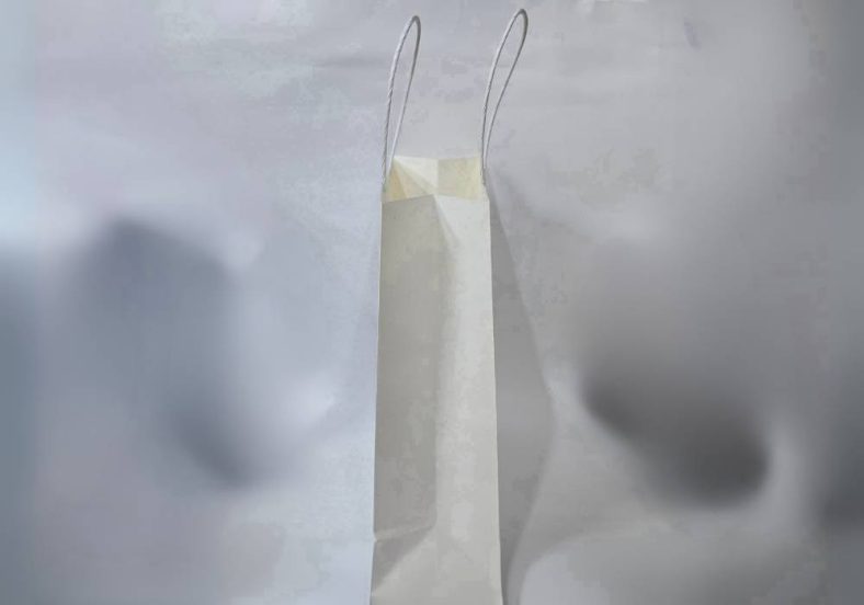 TWISTED WHITE M PAPER BAG (H300 x W220 x D100mm) - Image 2