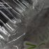 6mm BLACK PLASTIC STRAW (WITH INDIVIDUAL WRAP / NO WRAP) - Image 5