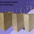 TWISTED HANDLE KRAFT BROWN PAPER BAG [Update Apr'25]