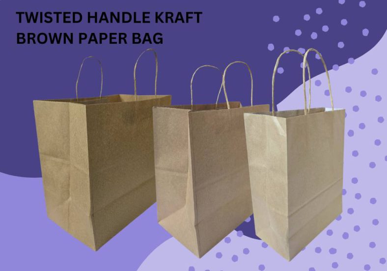 TWISTED HANDLE KRAFT BROWN PAPER BAG