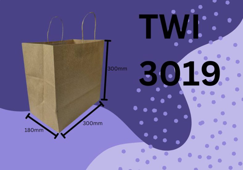 TWISTED HANDLE KRAFT BROWN PAPER BAG - Image 2